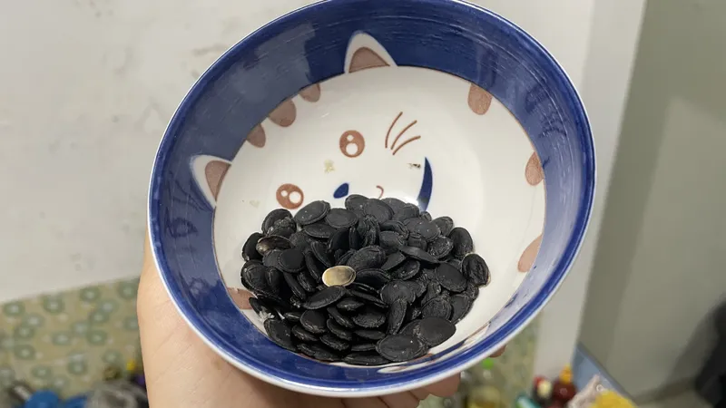 Kuaci dari biji luffa