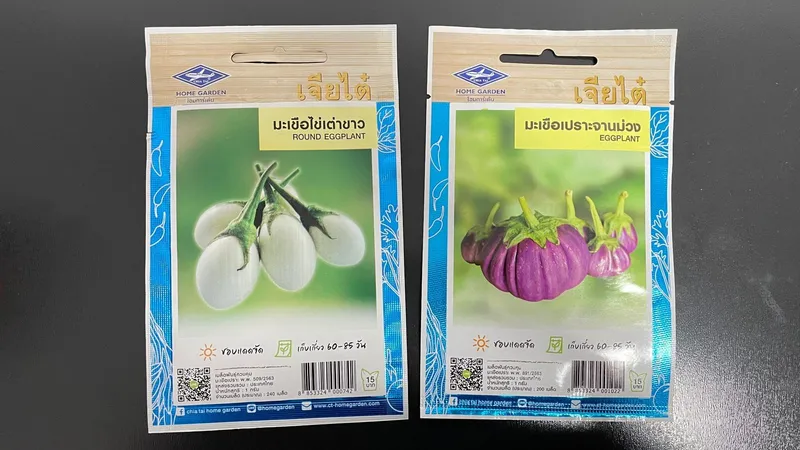 Benih Terung dari Thailand