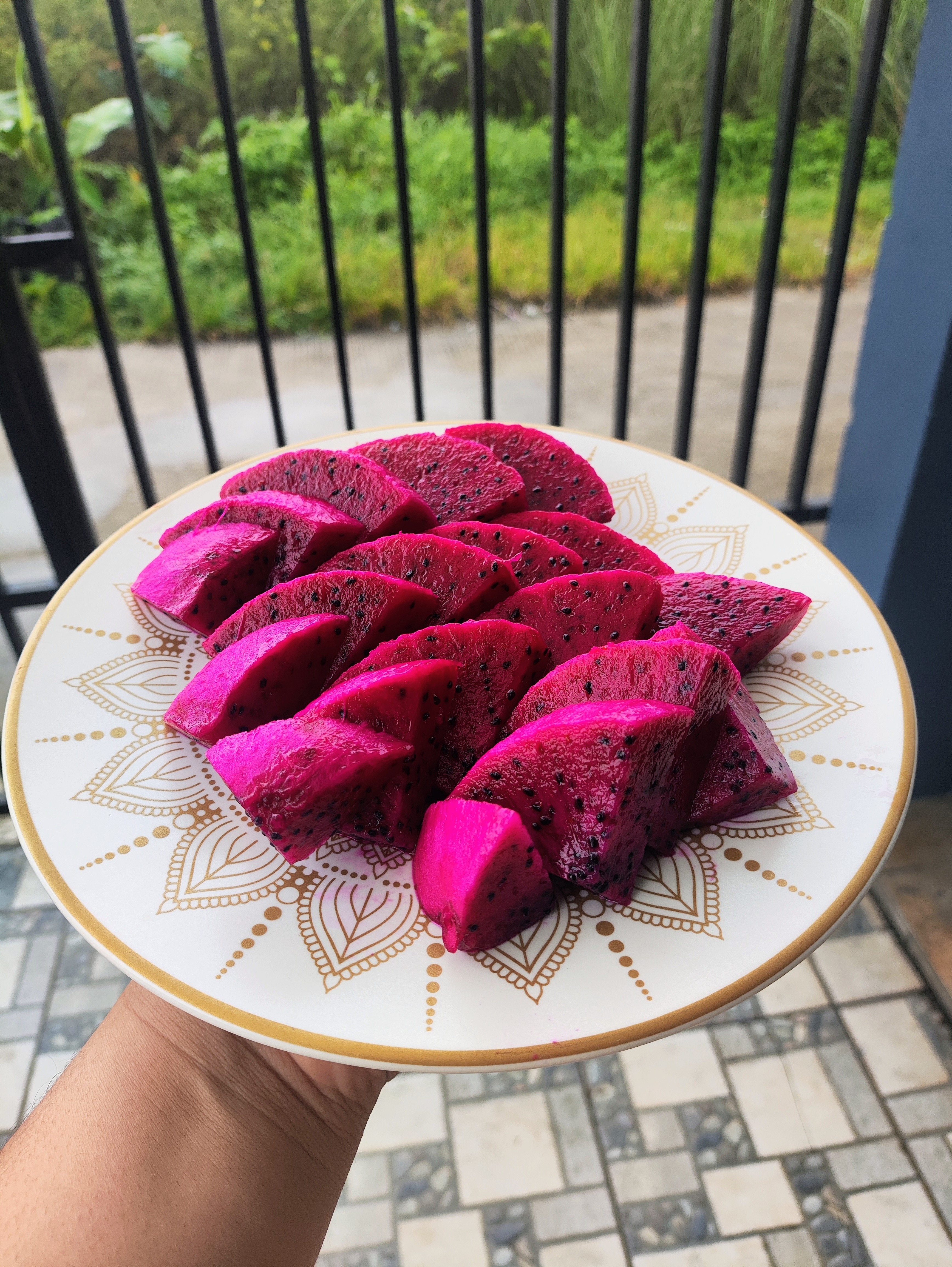 Buah naga Purple Haze dibelah